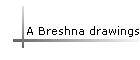 A Breshna drawings