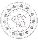 PPC's 50 Celebration Trifle (here viewed from above)